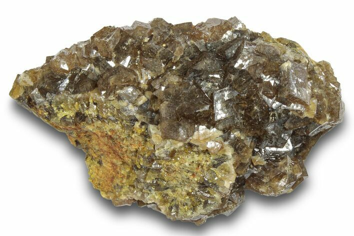 Sharp Andradite Garnet Cluster - Stanley Butte, Arizona #245046